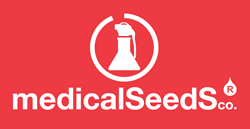 Medical Seeds