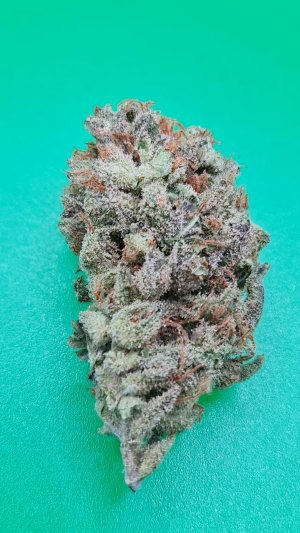 Семена KC Brains Auto Zkittlez 36 <sup>®</sup> (Автоцветущие феминизированные)