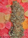 Mandala Seeds Fruitylicious (Феминизированные)