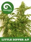 Little Dipper AF (Автоцветущие феминизированные)
