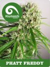 Phatt Freddy (Обычные)