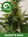 Kiwi Seeds Daddy’s Girl (Феминизированные)
