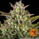 Barney's Farm Seeds Wedding Cake (Автоцветущие феминизированные)