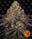 Barney's Farm Seeds Watermelon Zkittlez (Феминизированные)